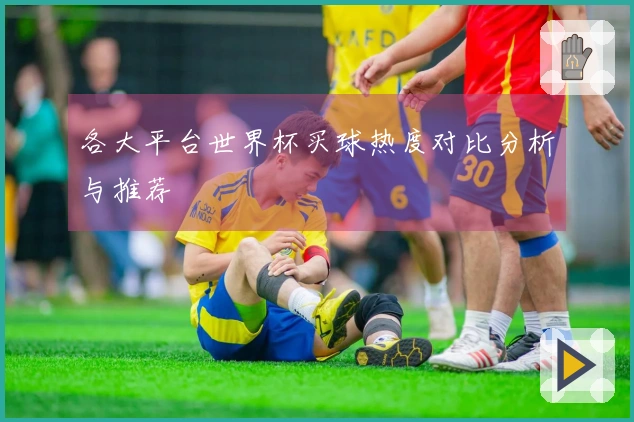 各大平台世界杯买球热度对比分析与推荐