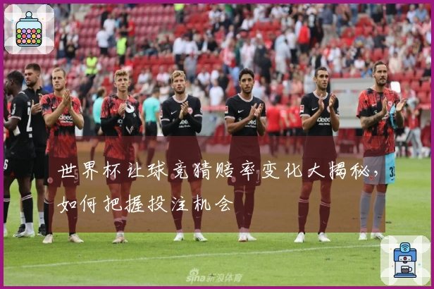 世界杯让球竞猜赔率变化大揭秘，如何把握投注机会