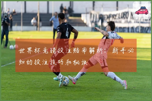 世界杯竞猜投注赔率解析：新手必知的投注技巧和秘诀