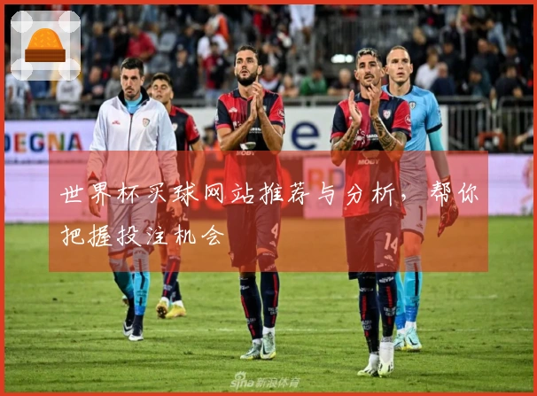 世界杯买球网站推荐与分析，帮你把握投注机会