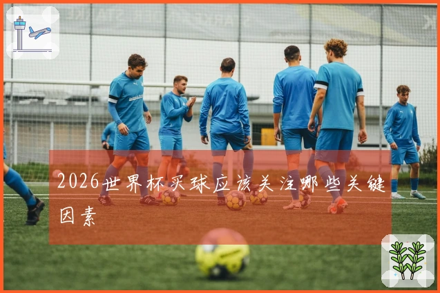 2026世界杯买球应该关注哪些关键因素