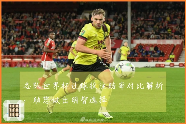 各队世界杯让球投注赔率对比解析,助您做出明智选择