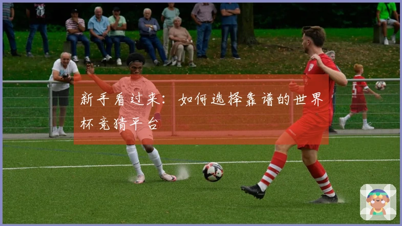 新手看过来：如何选择靠谱的世界杯竞猜平台