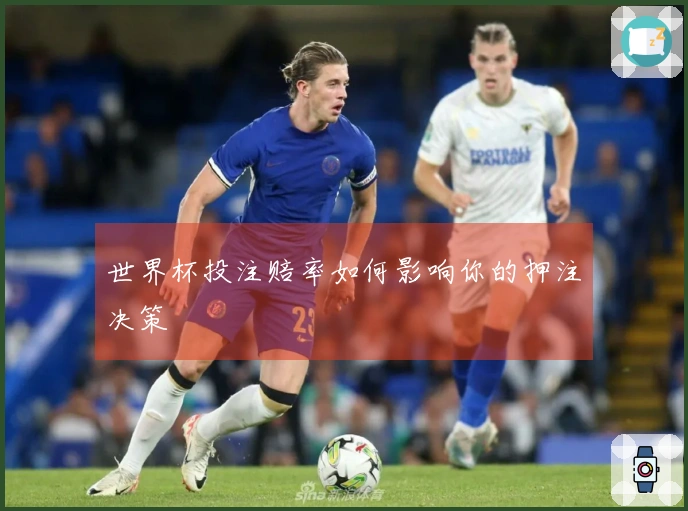 世界杯投注赔率如何影响你的押注决策