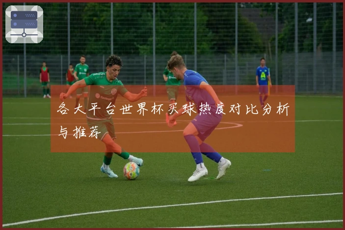 各大平台世界杯买球热度对比分析与推荐