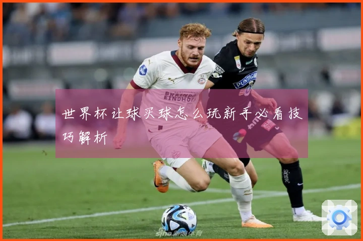 世界杯让球买球怎么玩新手必看技巧解析