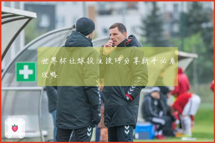 世界杯让球投注技巧分享新手必看攻略
