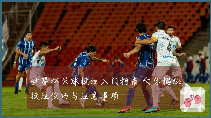 世界杯买球投注入门指南 向你揭秘投注技巧与注意事项