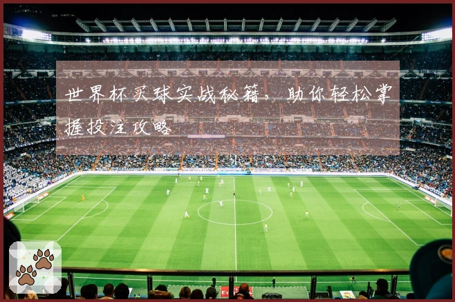 世界杯买球实战秘籍，助你轻松掌握投注攻略
