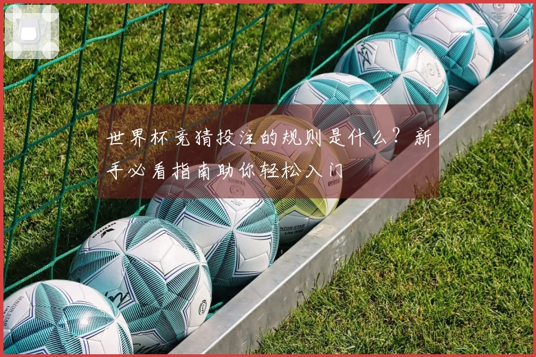 世界杯竞猜投注的规则是什么？新手必看指南助你轻松入门