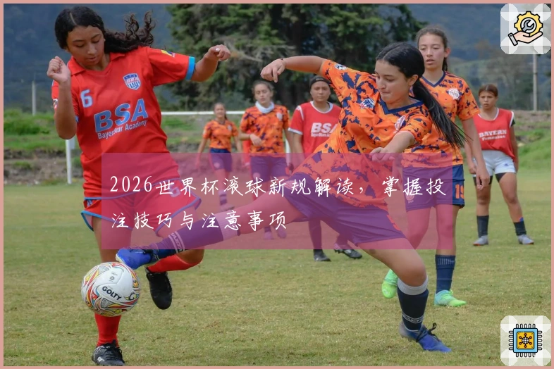 2026世界杯滚球新规解读，掌握投注技巧与注意事项
