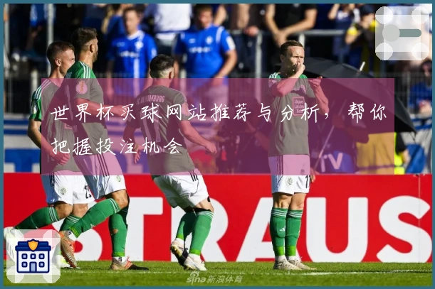世界杯买球网站推荐与分析,帮你把握投注机会