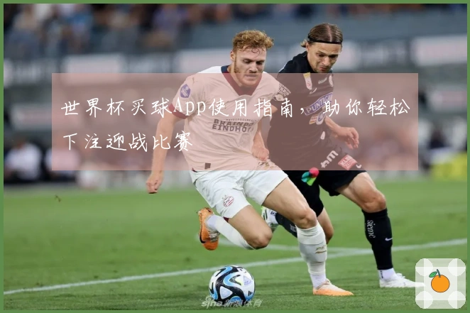 世界杯买球App使用指南，助你轻松下注迎战比赛