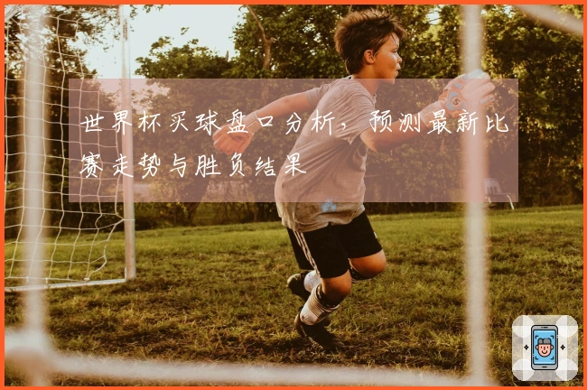 世界杯买球盘口分析，预测最新比赛走势与胜负结果