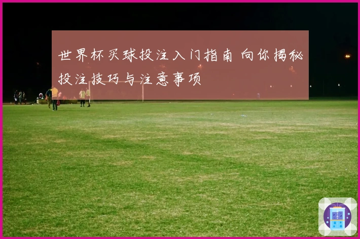 世界杯买球投注入门指南 向你揭秘投注技巧与注意事项