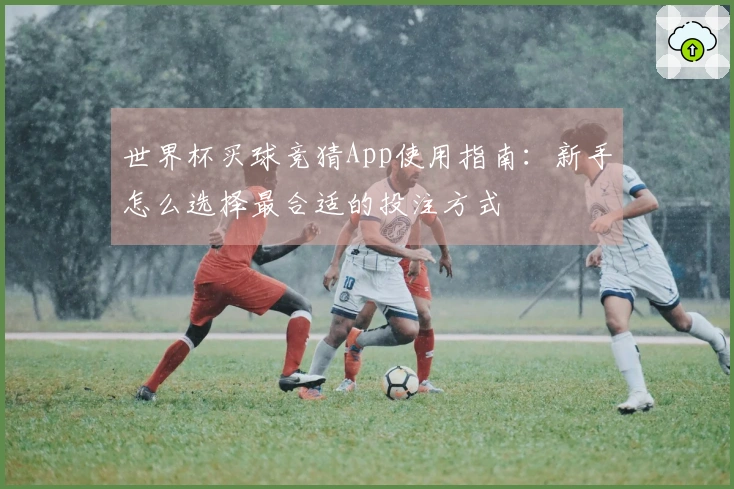 世界杯买球竞猜App使用指南：新手怎么选择最合适的投注方式