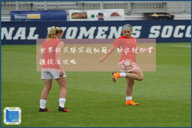 世界杯买球实战秘籍，助你轻松掌握投注攻略