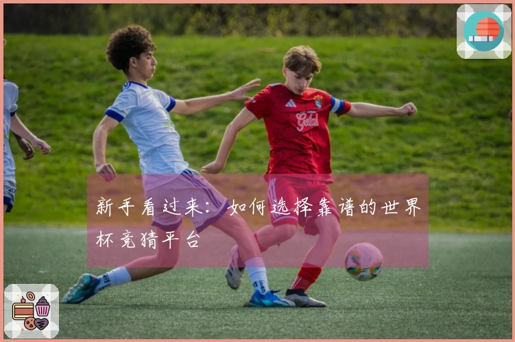 新手看过来：如何选择靠谱的世界杯竞猜平台