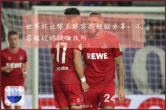 世界杯让球买球实战经验分享，不容错过的投注技巧