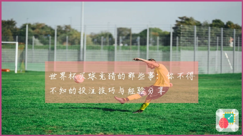 世界杯买球竞猜的那些事：你不得不知的投注技巧与经验分享
